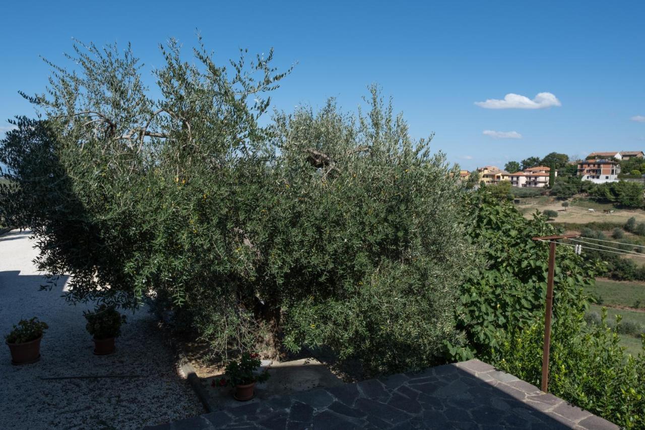 Città della PieveLa Casa Di Saraアパートメント エクステリア 写真
